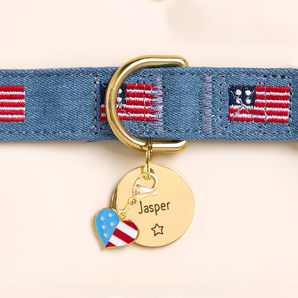 Gold Star Circle Pet ID Tag, Stainless Steel