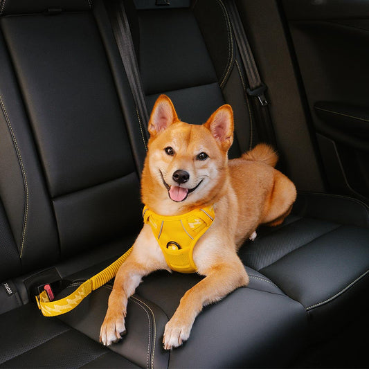 Adjustable Dog Car Seat Belt with Elastic Reflective Strap
