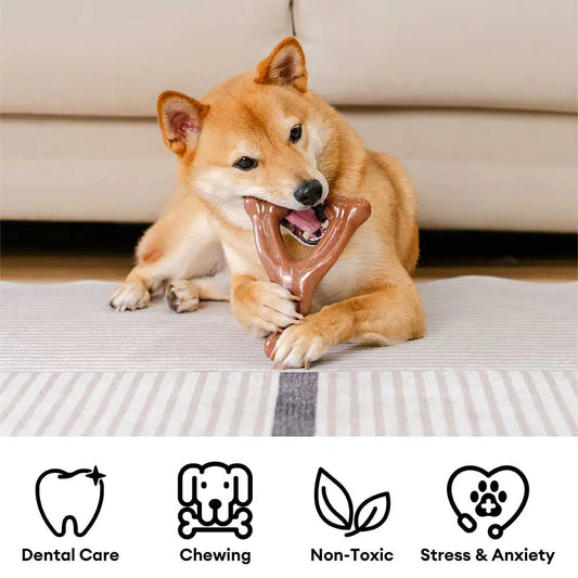 Bacon-Flavored Nylon Dog Chew Toy, Bone or Antler Shape
