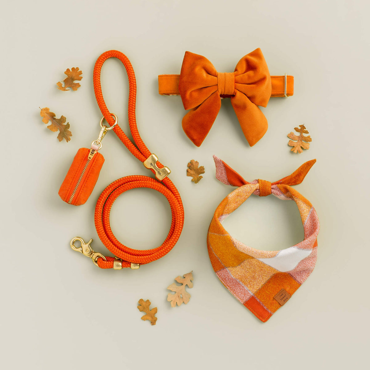 Rust Orange Braided Marine Rope Dog Leash, 5 ft