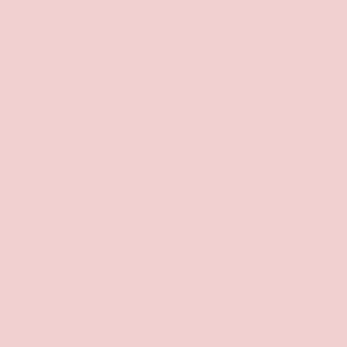 Blush Pink Cotton Dog Collar with Gold Hardware