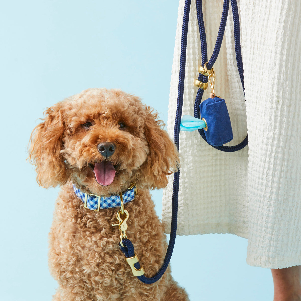 Royal Blue Marine Rope Dog Leash, 5 ft, Double-Braided Nylon