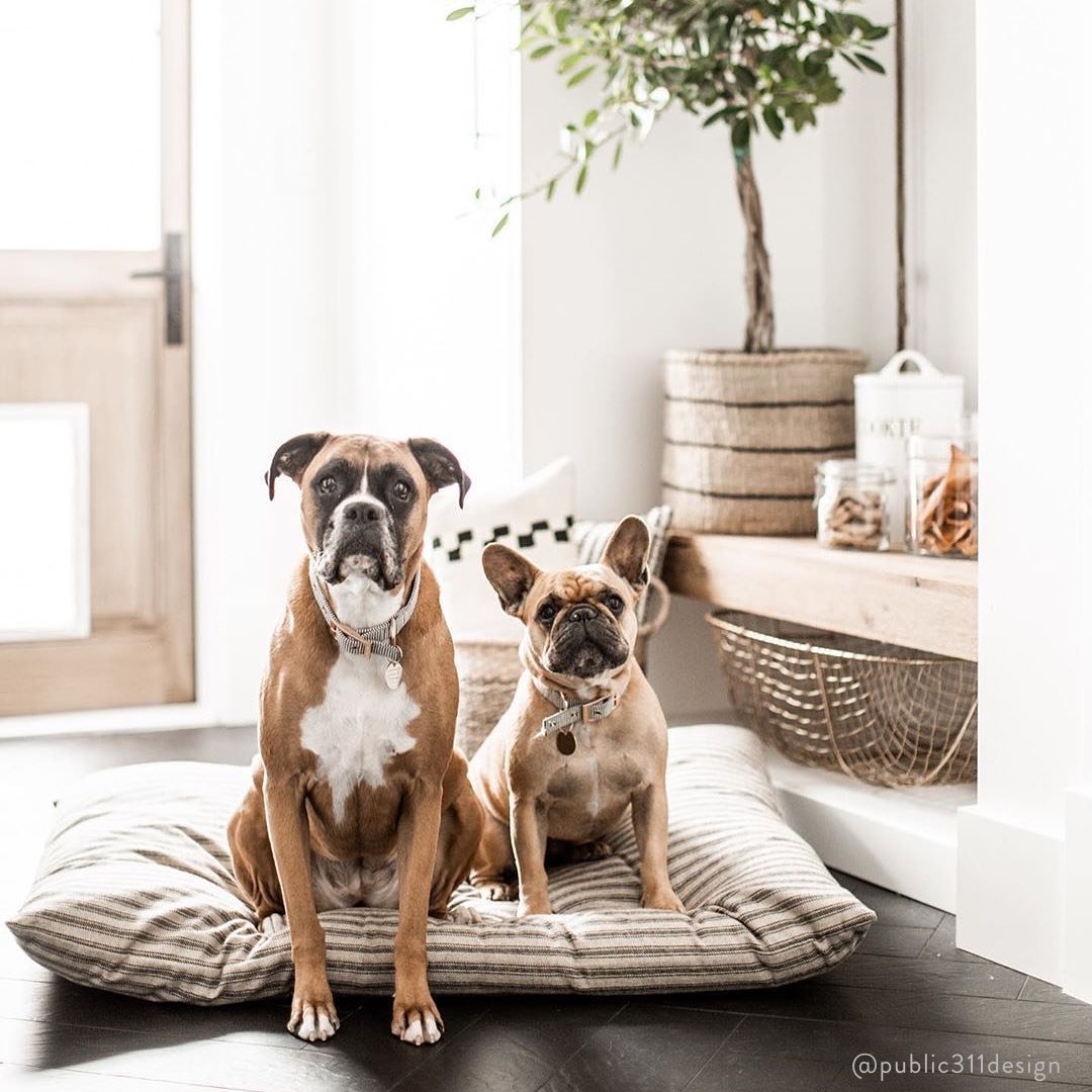 Brown Ticking Stripe Cotton Dog Bed with Removable Washable Cover