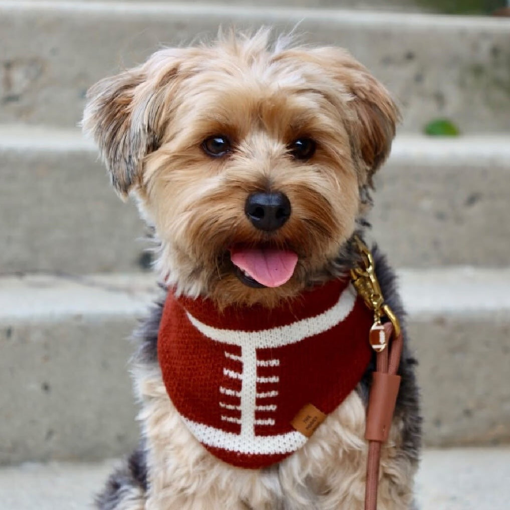 Football Knit Dog Bandana with Snap Closure, Game Day