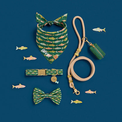 Green Fish Print Cotton Dog Collar with Brass D-Ring