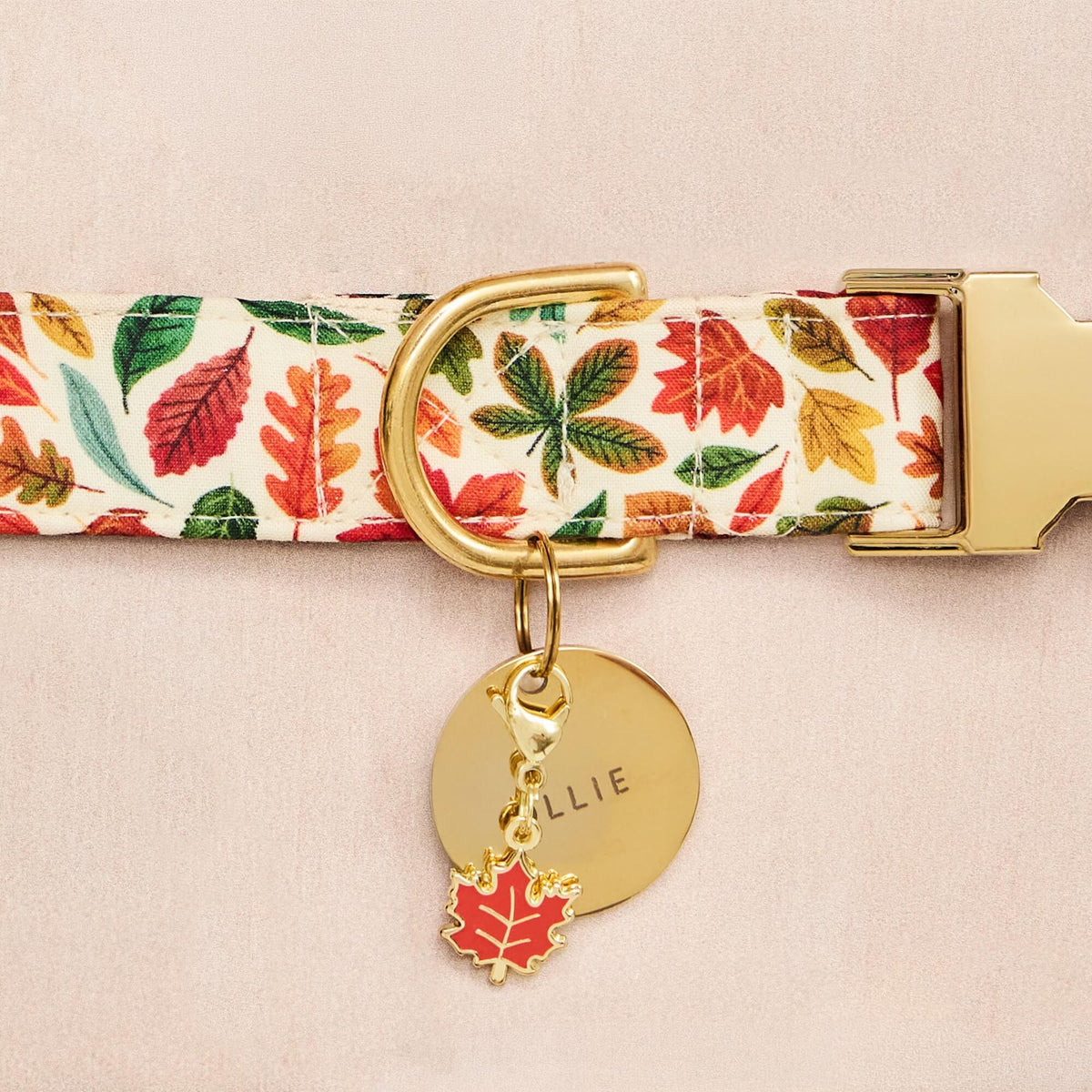 Enamel Maple Leaf Dog Collar Charm, Double-Sided