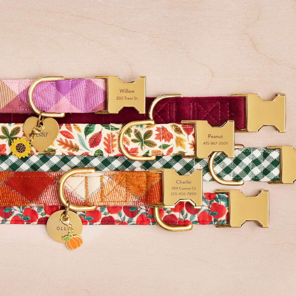Apple Print Soft Fabric Dog Collar with Metal Hardware
