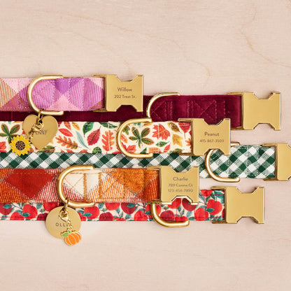 Apple Print Soft Fabric Dog Collar with Metal Hardware
