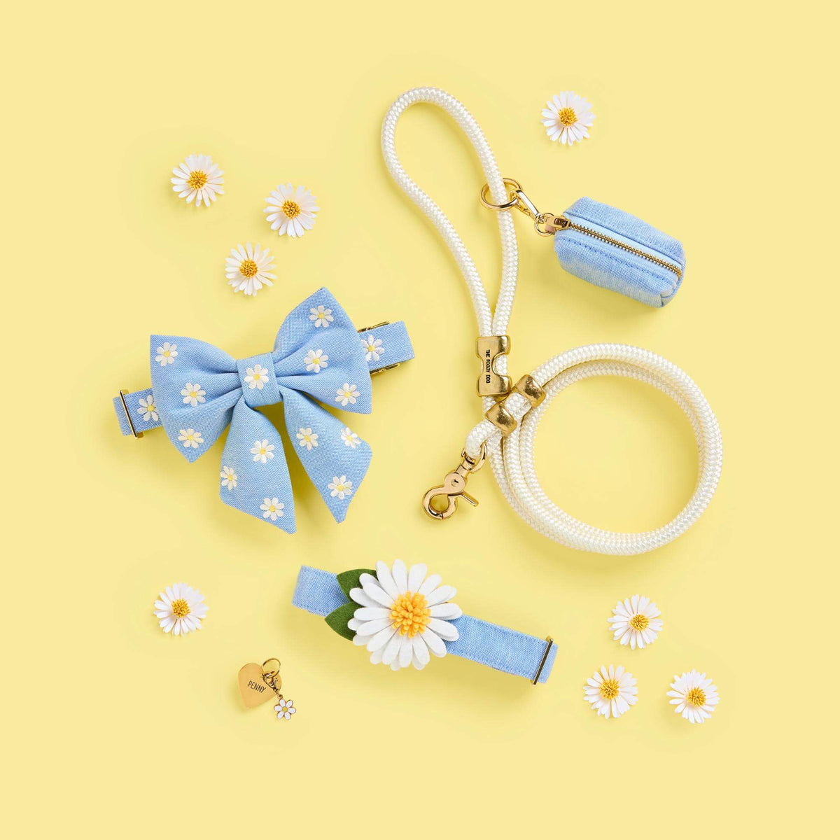 Light Blue Daisy Embroidered Cotton Dog Collar, Sizes XS to Large