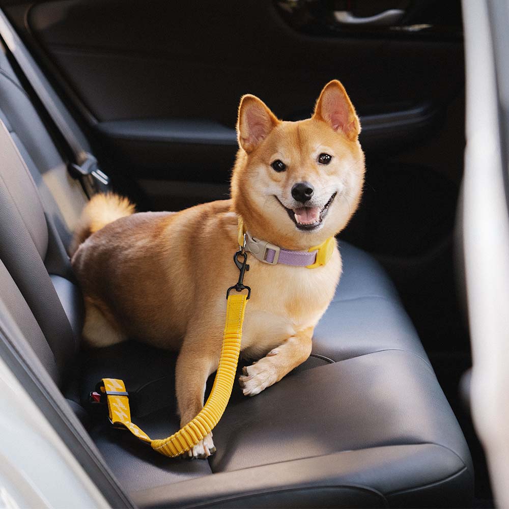 Adjustable Dog Car Seat Belt with Elastic Reflective Strap
