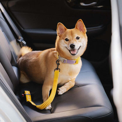 Adjustable Dog Car Seat Belt with Elastic Reflective Strap