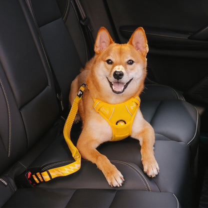 Adjustable Dog Car Seat Belt with Elastic Reflective Strap