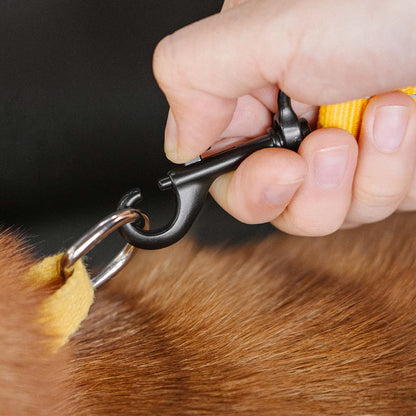 Adjustable Dog Car Seat Belt with Elastic Reflective Strap