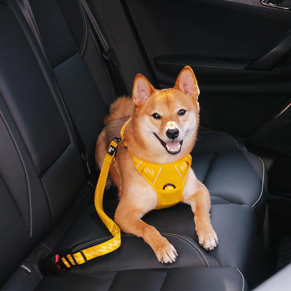 Adjustable Dog Car Seat Belt with Elastic Reflective Strap