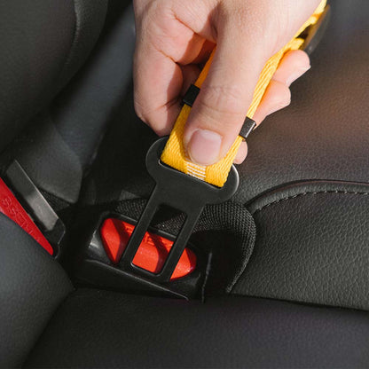 Adjustable Dog Car Seat Belt with Elastic Reflective Strap