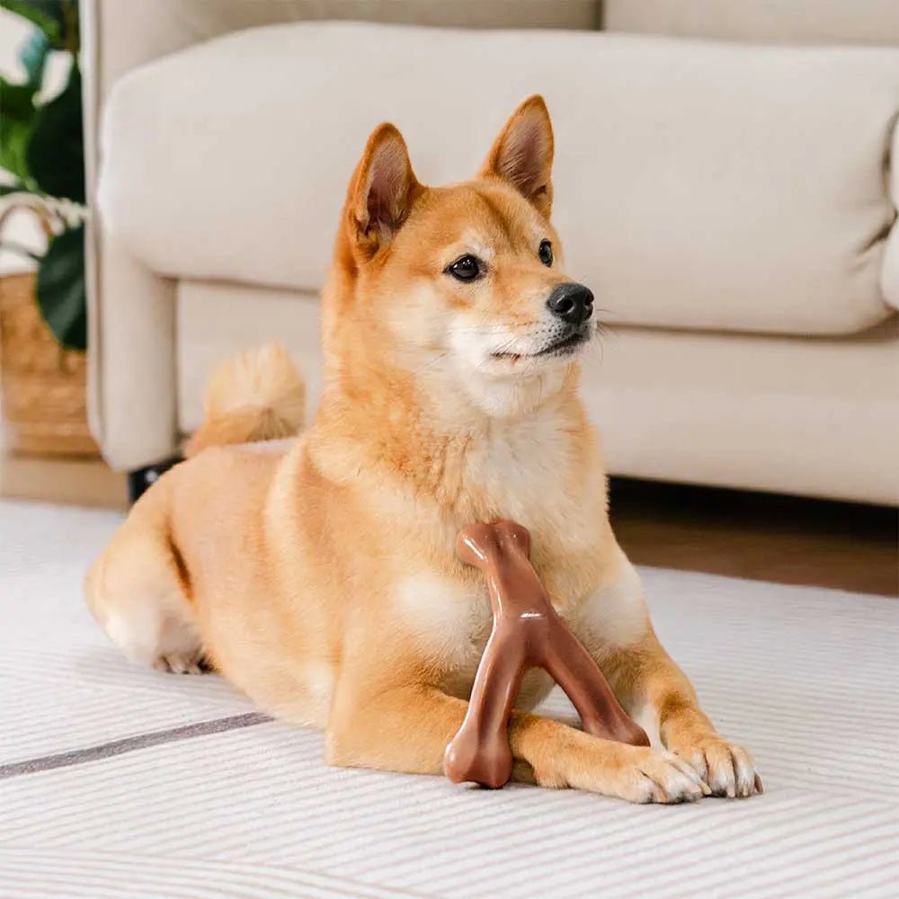 Bacon-Flavored Nylon Dog Chew Toy, Bone or Antler Shape