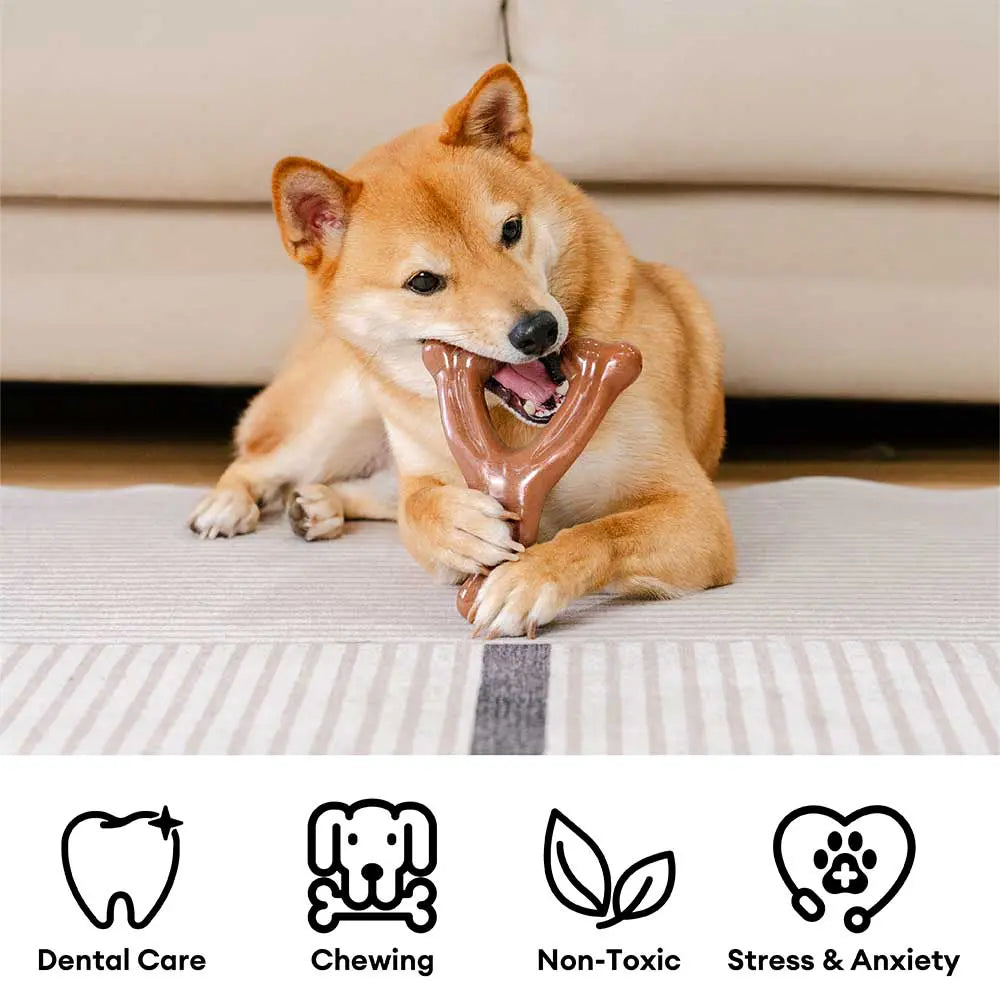 Bacon-Flavored Nylon Dog Chew Toy, Bone or Antler Shape