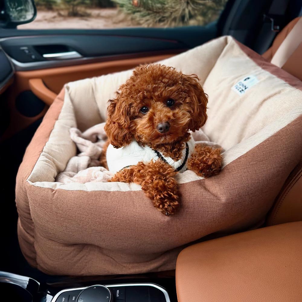 Elevated Waterproof Dog Car Seat Booster Bed with Safety Tether