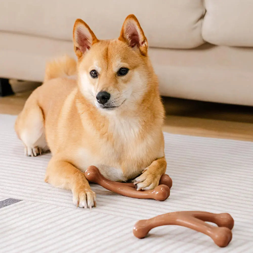 Bacon-Flavored Nylon Dog Chew Toy, Bone or Antler Shape