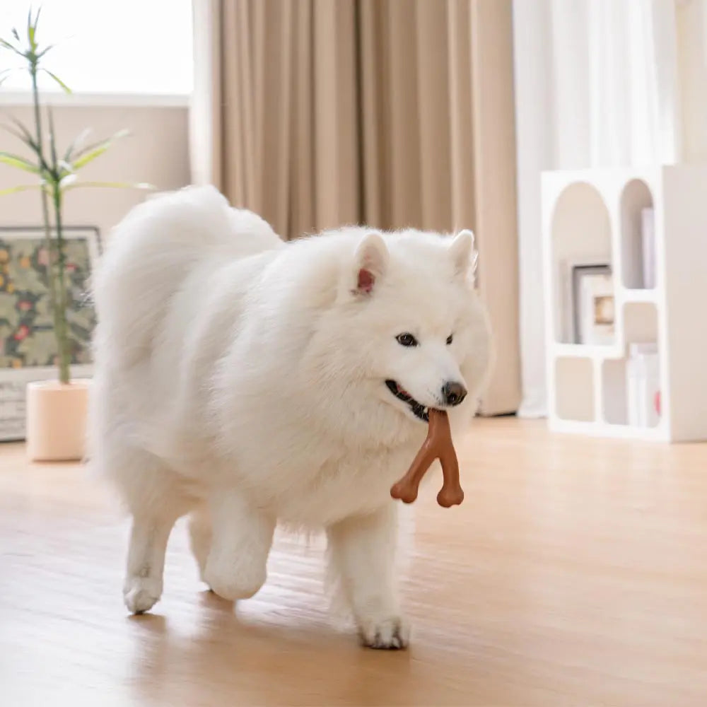 Bacon-Flavored Nylon Dog Chew Toy, Bone or Antler Shape