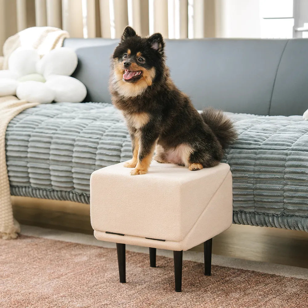 2-in-1 Convertible Dog Ramp and Step Stool with Velvet Cover