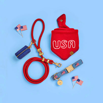 Denim Blue American Flag Embroidered Cotton Dog Collar
