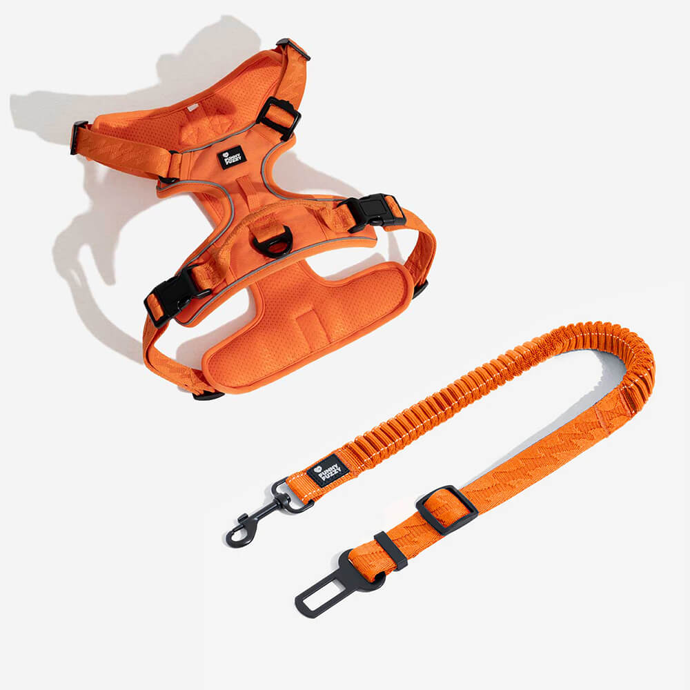 Adjustable Dog Car Seat Belt with Elastic Reflective Strap