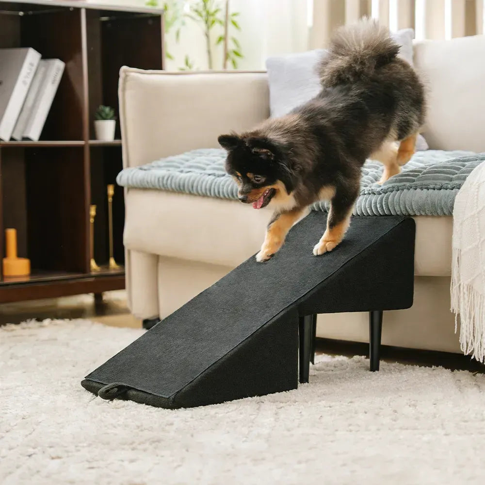2-in-1 Convertible Dog Ramp and Step Stool with Velvet Cover