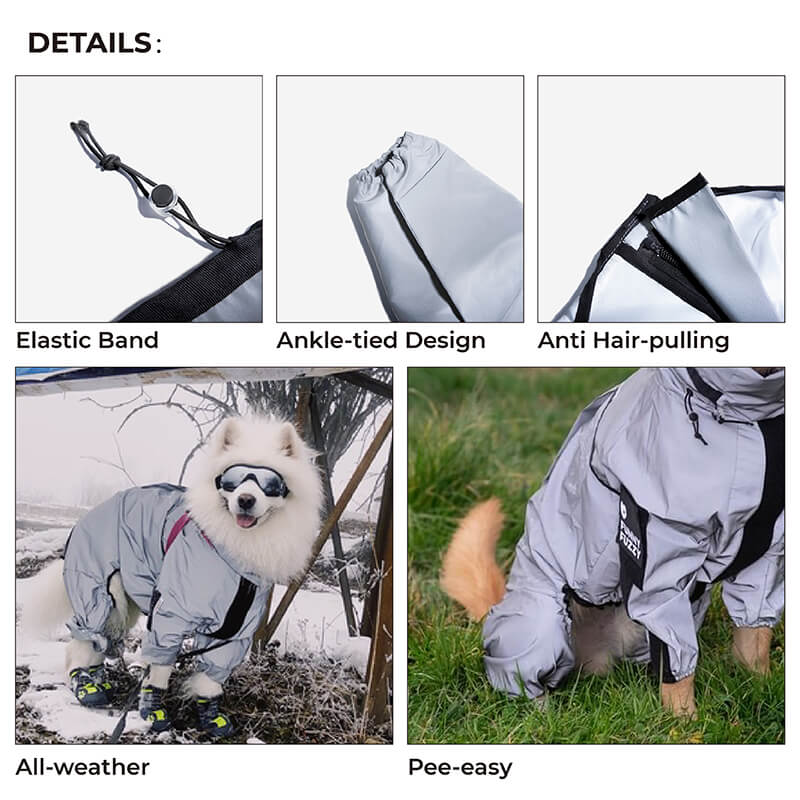 Reflective Waterproof Dog Raincoat with Harness Opening and Zip