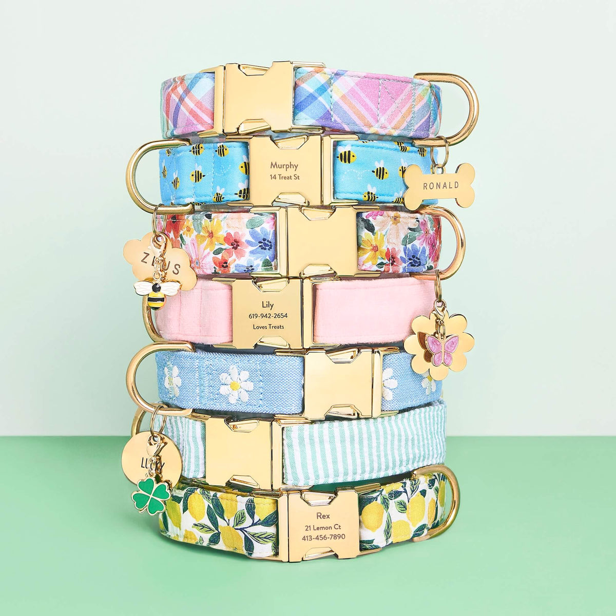 Light Blue Daisy Embroidered Cotton Dog Collar, Sizes XS to Large