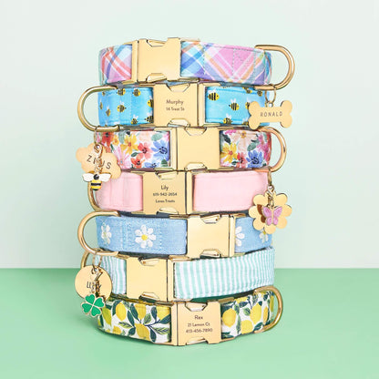Light Blue Daisy Embroidered Cotton Dog Collar, Sizes XS to Large
