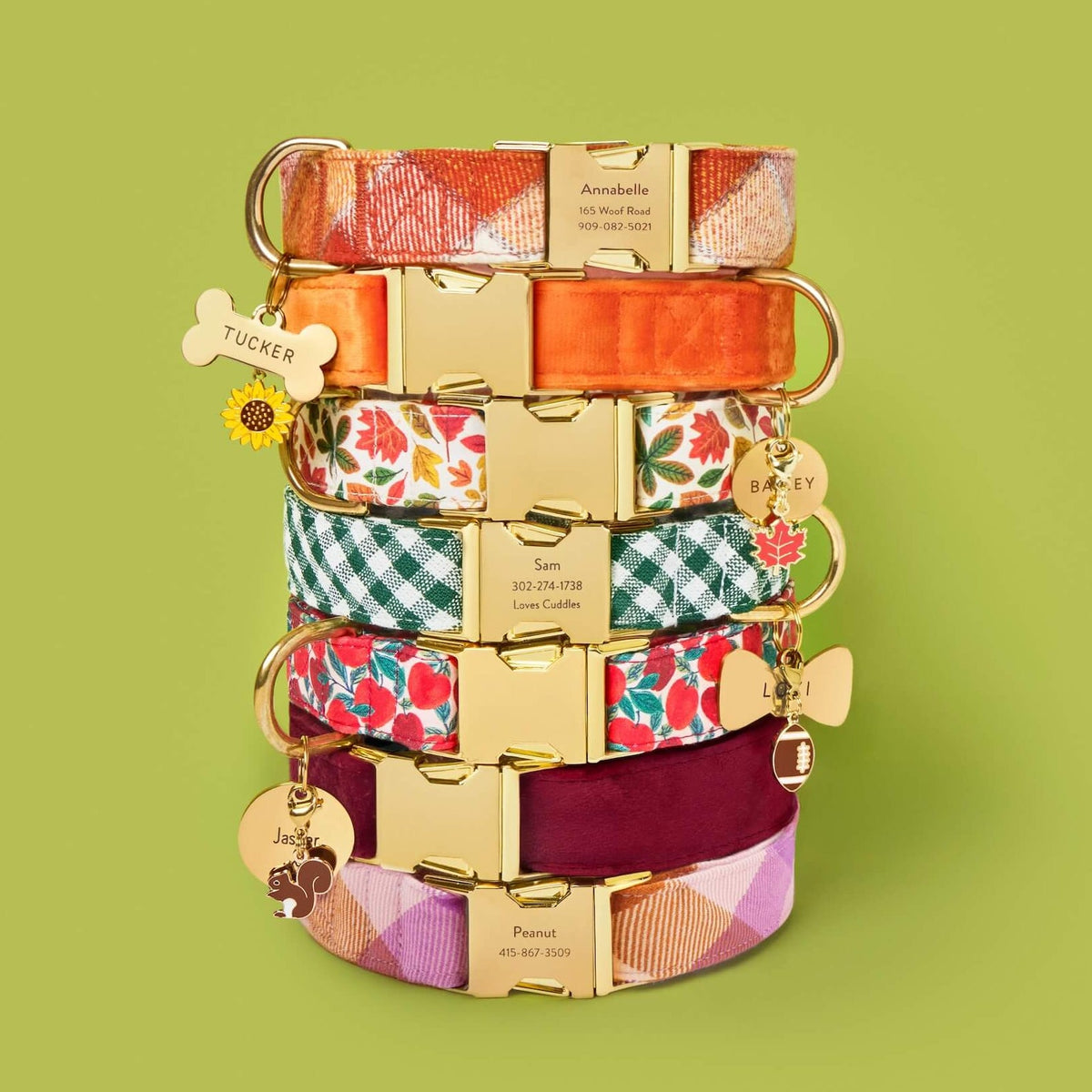 Dark Green Gingham Dog Collar, Sizes XS to Large