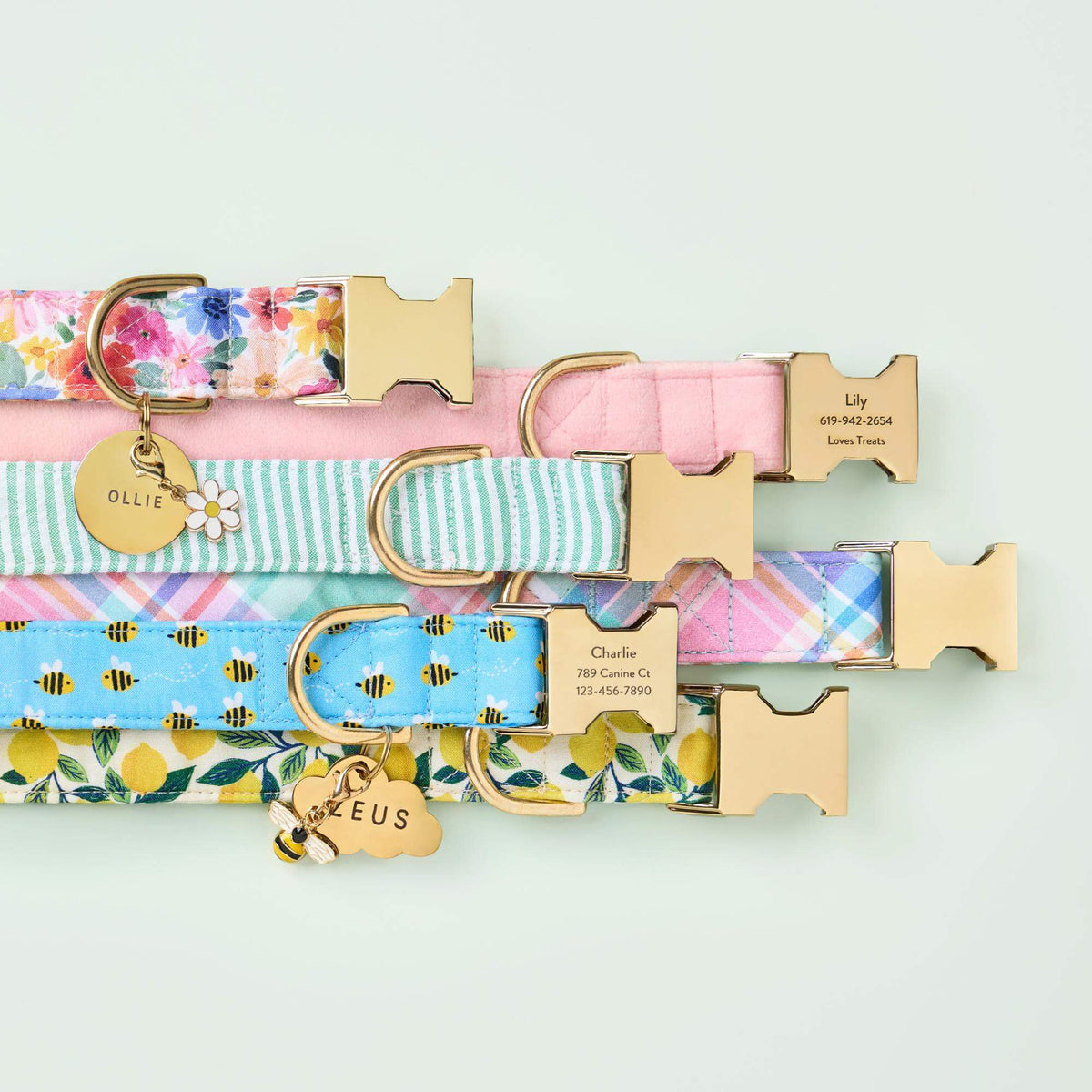 Pink Floral Cotton Dog Collar with Gold Hardware