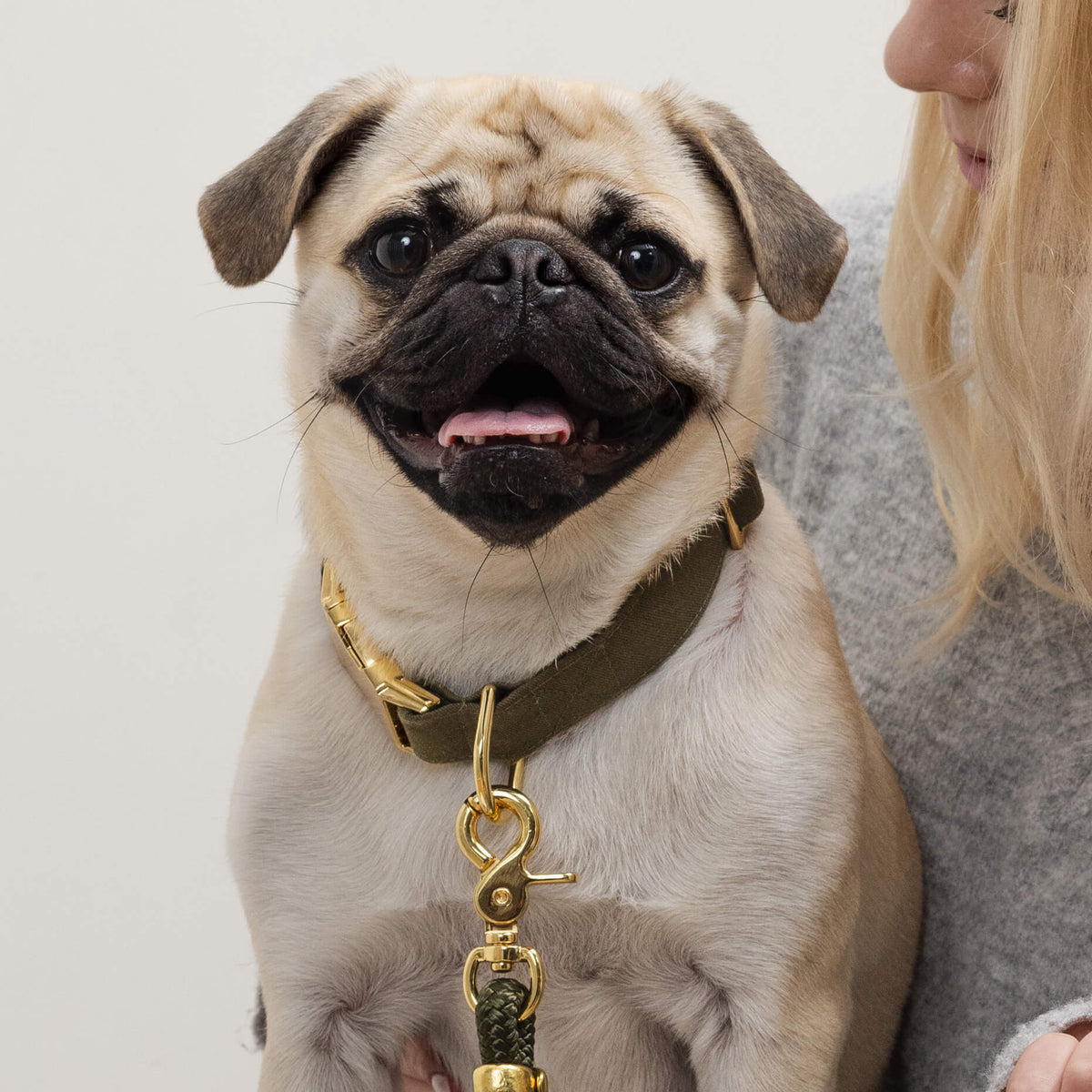 Olive Green Cotton Dog Collar with Gold Hardware