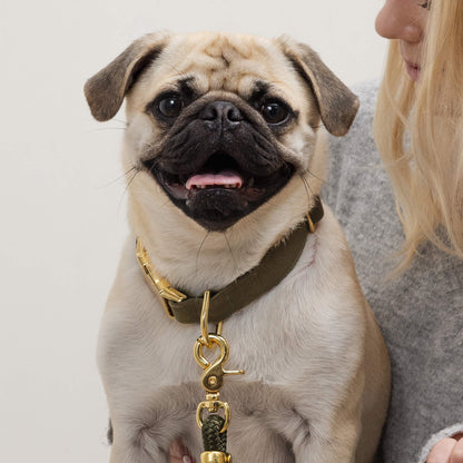 Olive Green Cotton Dog Collar with Gold Hardware