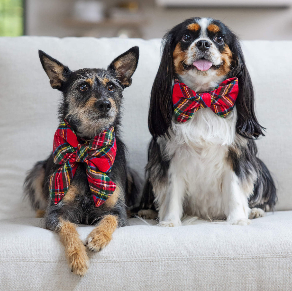 Red Tartan Plaid Flannel Dog Bow Tie, Collar Attachment