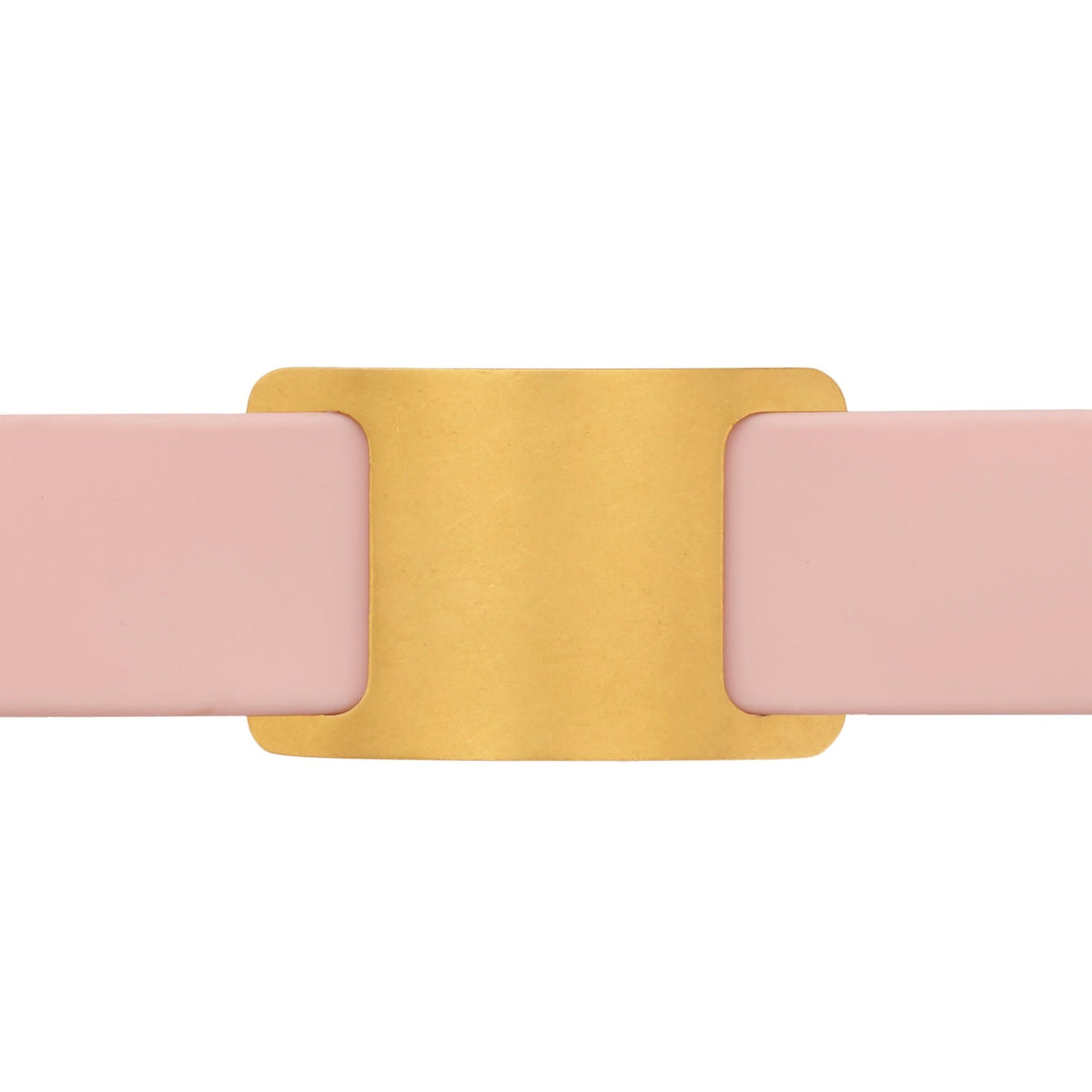 Gold Stainless Steel Pet ID Tag for Dogs and Cats, Nickel-Free
