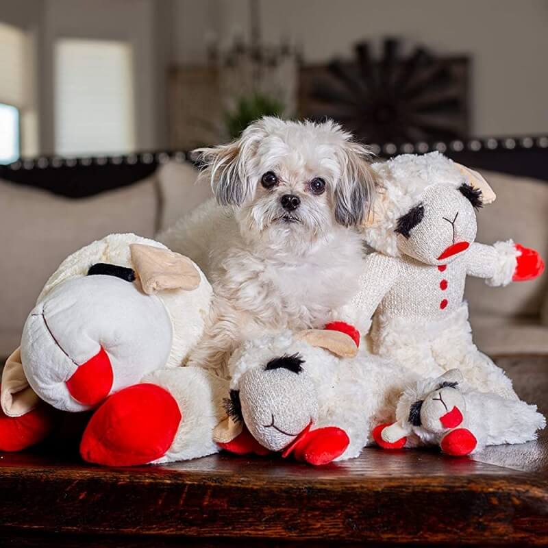 Plush Sheep Squeaker Dog Toy with Red Feet