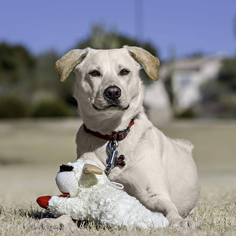 Plush Sheep Squeaker Dog Toy with Red Feet