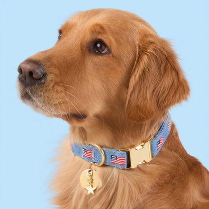 Denim Blue American Flag Embroidered Cotton Dog Collar