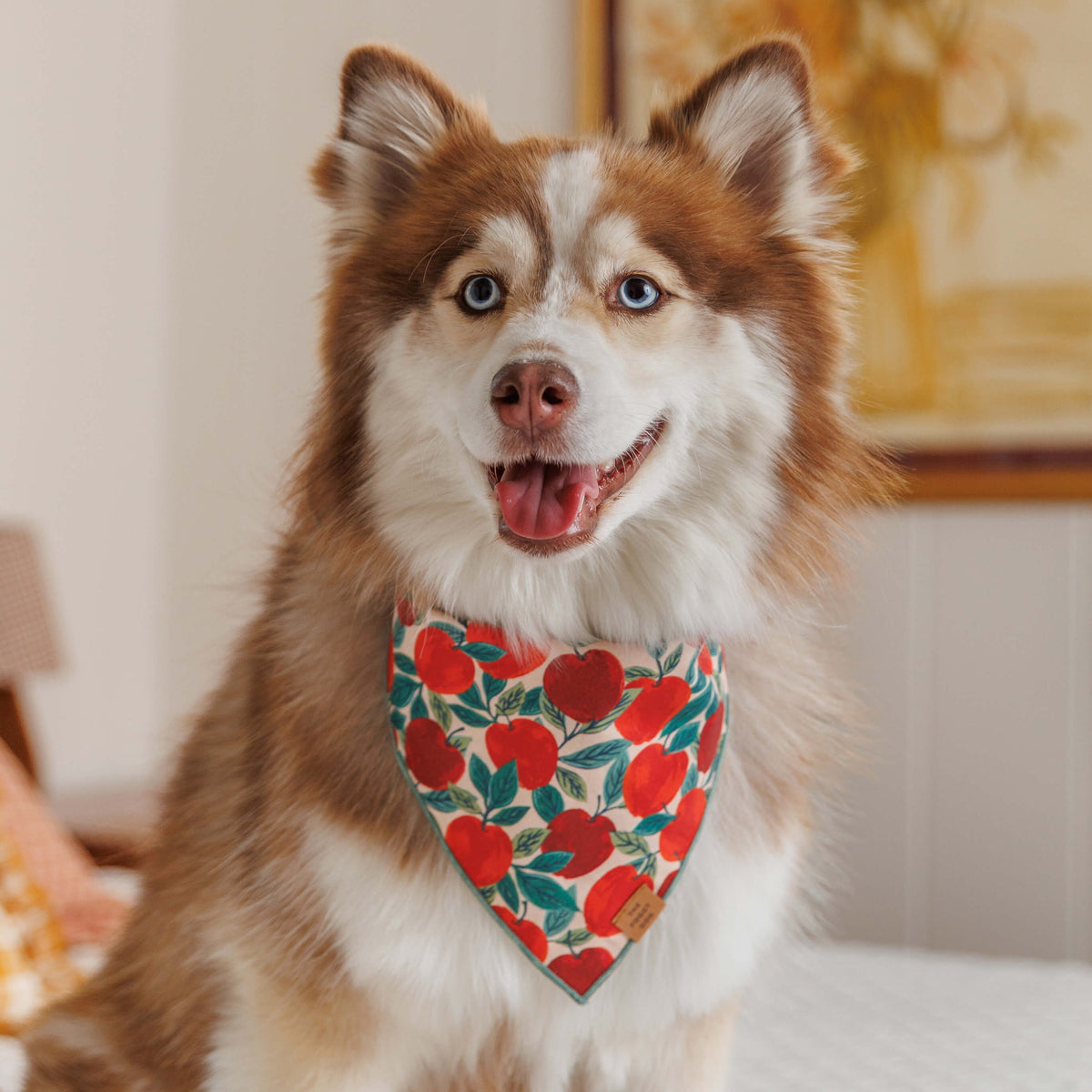 Red Apple Print Tie-On Dog Bandana with Dark Green Hem