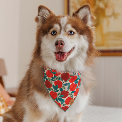 Red Apple Print Tie-On Dog Bandana with Dark Green Hem