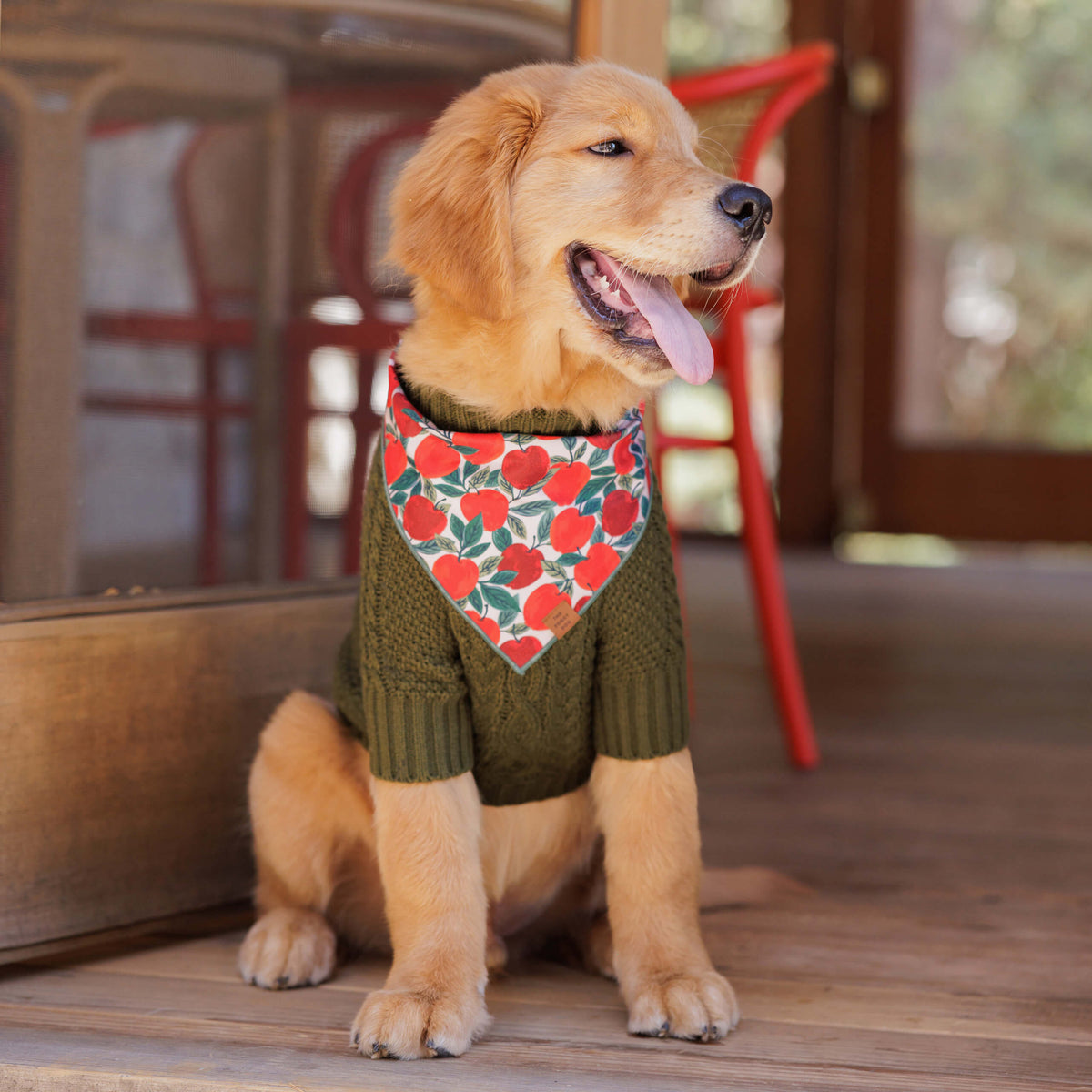 Red Apple Print Tie-On Dog Bandana with Dark Green Hem