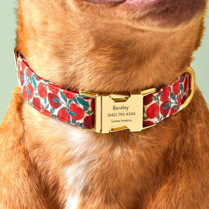 Apple Print Soft Fabric Dog Collar with Metal Hardware