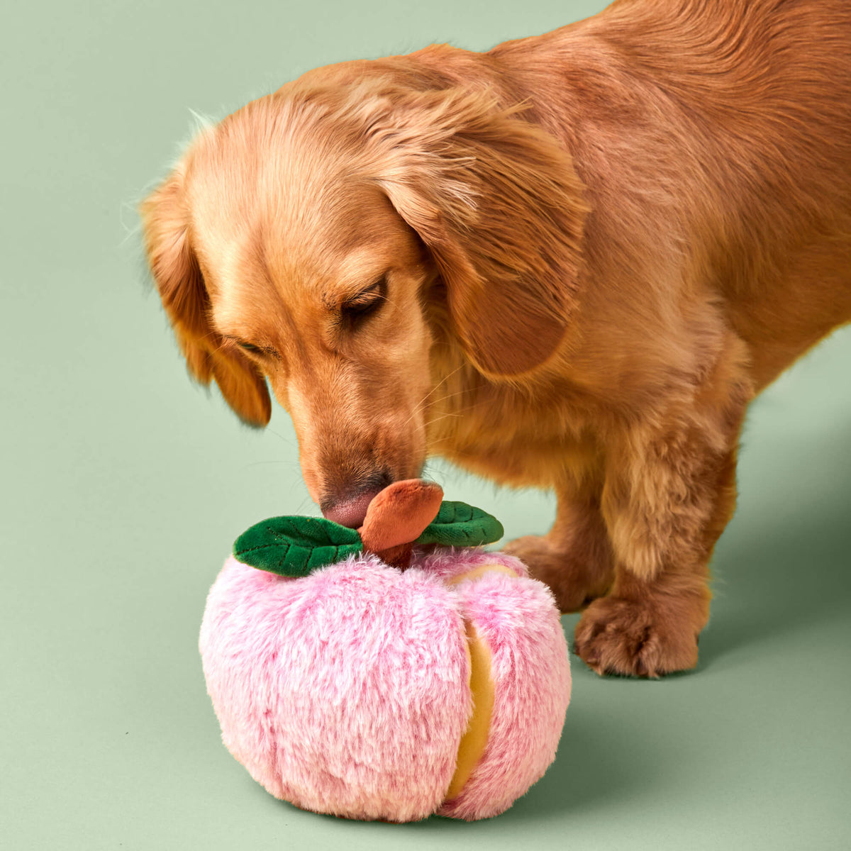 Pink Apple Snuffle Dog Toy with Hidden Treat Pockets