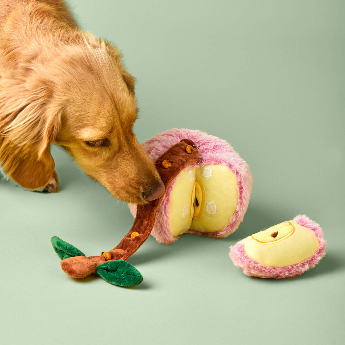 Pink Apple Snuffle Dog Toy with Hidden Treat Pockets