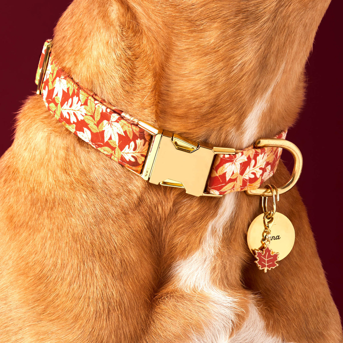Enamel Maple Leaf Dog Collar Charm, Double-Sided