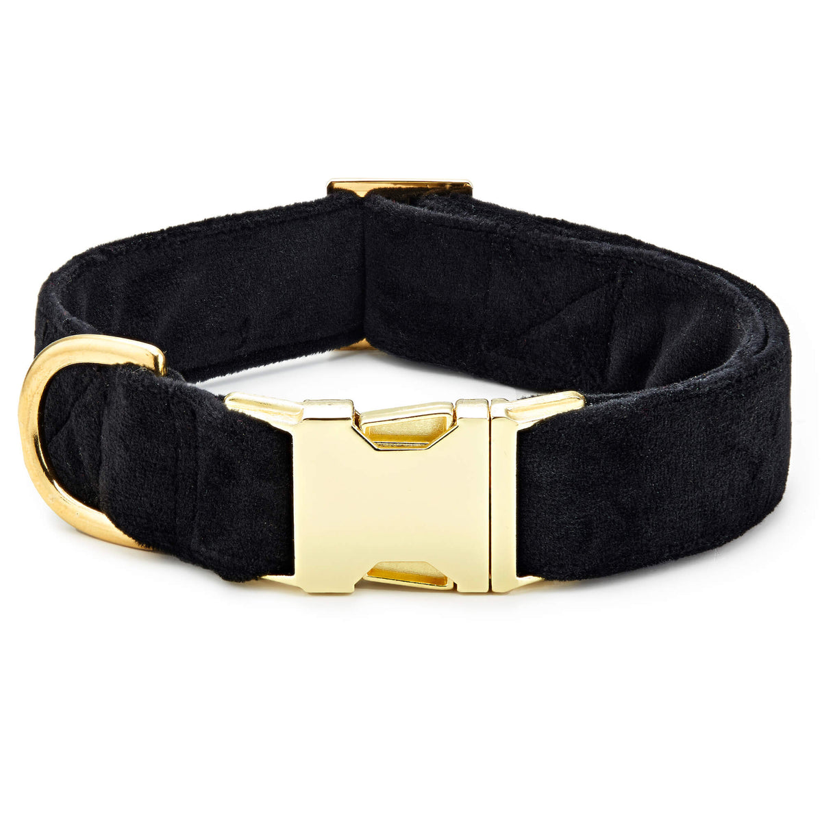 Black Velvet Dog Collar with Gold Hardware