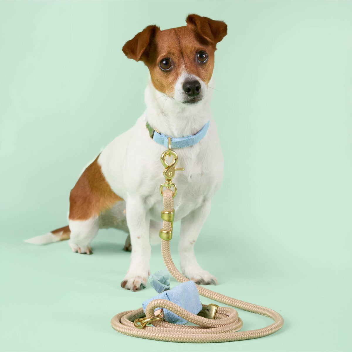 Beige Marine Rope Dog Leash, 5 ft, Double-Braided Nylon