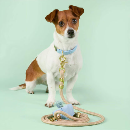 Beige Marine Rope Dog Leash, 5 ft, Double-Braided Nylon